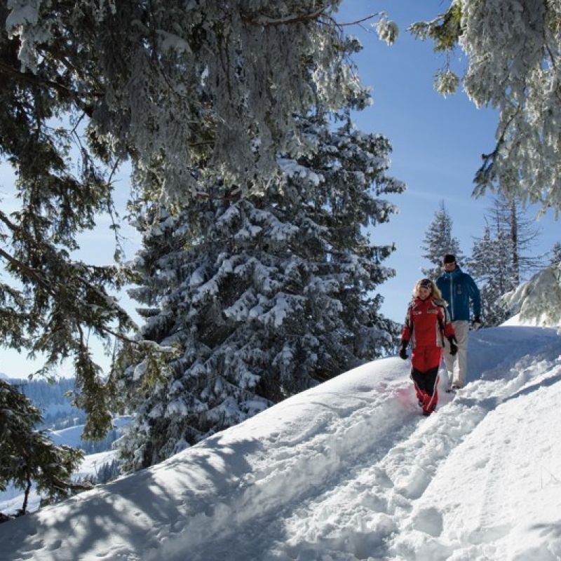 Wilder Kaiser Wandern, Skigebiet.jpg