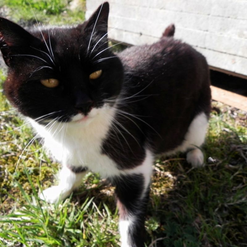 DSCN3888.JPG