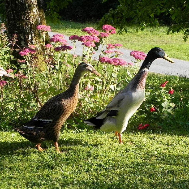 DSCN4625.JPG
