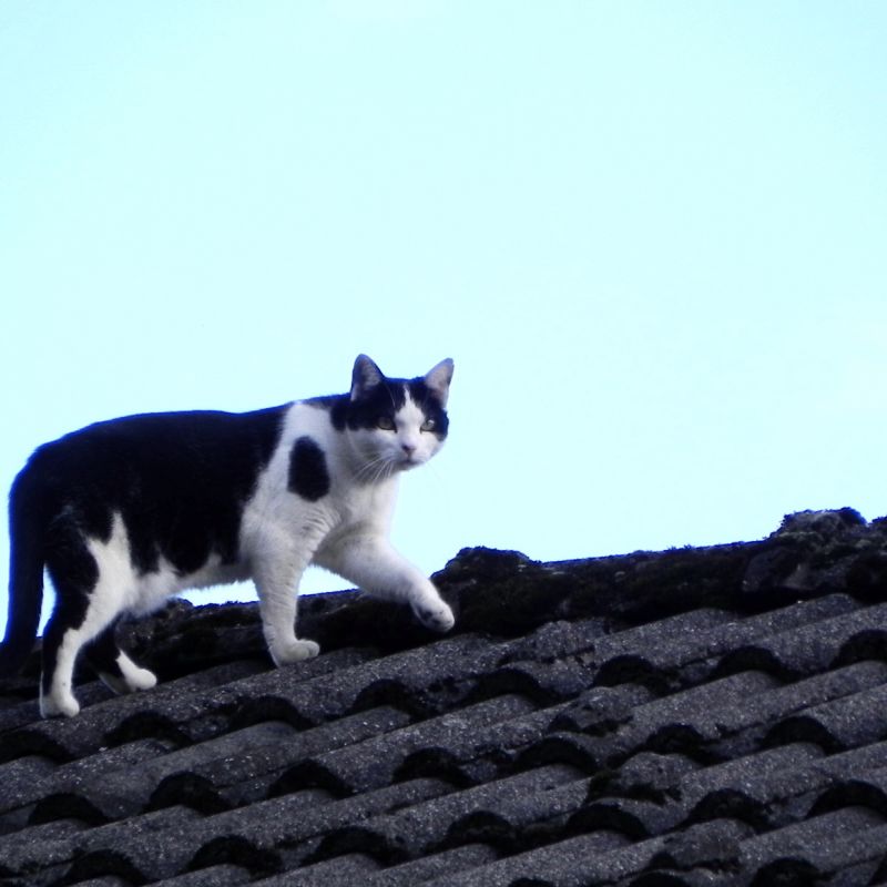 DSCN4663.JPG